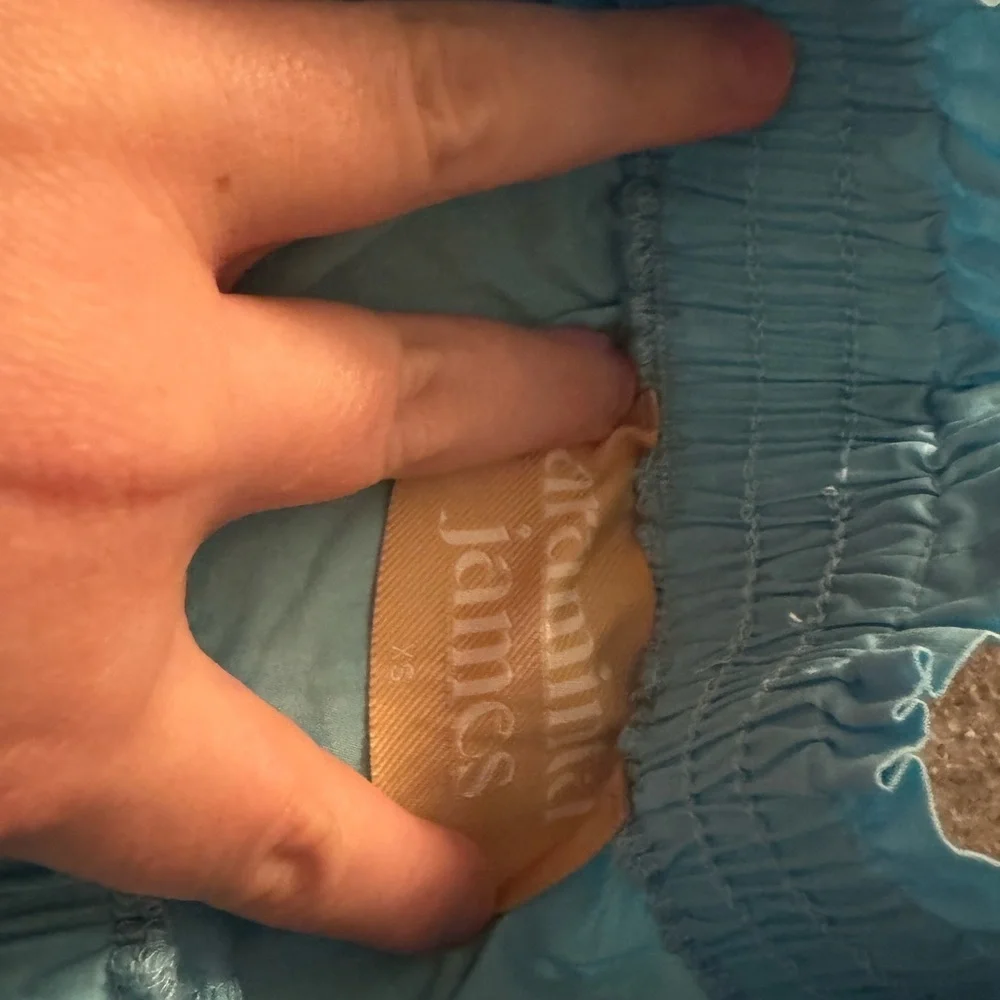 Araminta James XS Light Blue Women's Shorts lounge